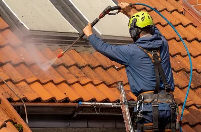 Démoussage et hydrofuge de toiture à Lyas